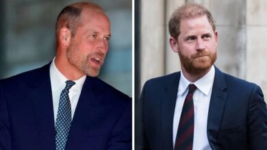 Prince William And Harry Put Feud Aside For Important Cause Despite Bitter Rift