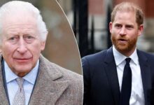 King Charles Faces Fresh Pressure As Prince Harry Security Battle Takes New Turn
