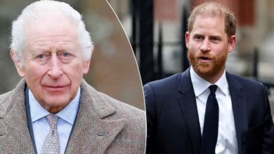 King Charles Faces Fresh Pressure As Prince Harry Security Battle Takes New Turn