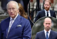 King Charles Reportedly Turns To Trusted Palace Aide To End Prine Harry And Prince William Feud