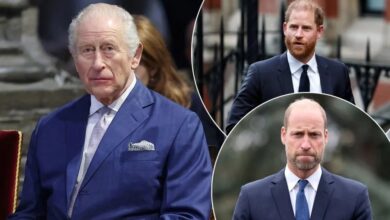 King Charles Reportedly Turns To Trusted Palace Aide To End Prine Harry And Prince William Feud