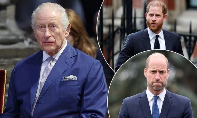 King Charles Reportedly Turns To Trusted Palace Aide To End Prine Harry And Prince William Feud