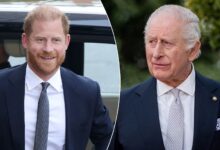 Prince Harry Sparks Fresh Royal Reunion Hopes As King Charles Aide Takes Action