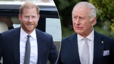 Prince Harry Sparks Fresh Royal Reunion Hopes As King Charles Aide Takes Action
