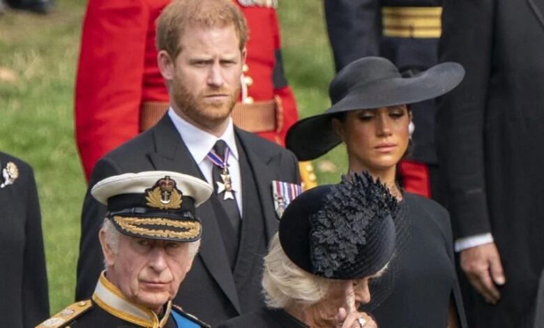 Prince Harry And Meghan Markle Leave Palace Uneasy With Bold New Global Strategy