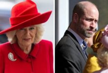 Queen Camilla And Prince William Join Forces As Royal Family Faces Major Crisis