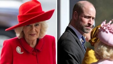 Queen Camilla And Prince William Join Forces As Royal Family Faces Major Crisis
