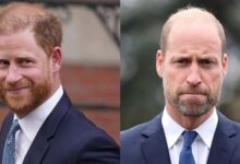 Prince Harry Receives Encouraging Update Despite Prince William Tensions