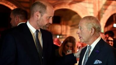 Prince William’s Alleged Temper Sparks Fresh Palace Concerns Amid King Charles Tensions