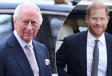 King Charles And Prince Harry Spark Fresh Reunion Speculation With Alleged Secret Understanding