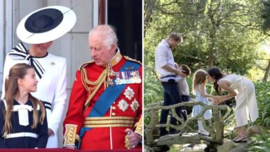 King Charles Reportedly Reserves Historic Royal Titles For Princess Charlotte Amid Sussex Divide