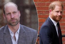 Prince Harry Reportedly Sparks Fresh Tension With Prince William Over Family Comments