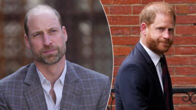 Prince Harry Reportedly Sparks Fresh Tension With Prince William Over Family Comments