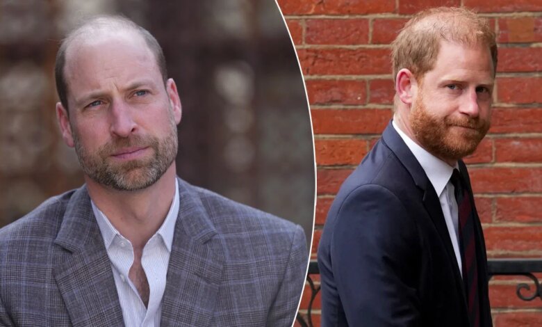 Prince Harry Reportedly Sparks Fresh Tension With Prince William Over Family Comments