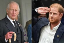 King Charles Launches Urgent Mission To End Prince William And Prince Harry Feud
