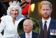 Queen Camilla Reportedly Tightens Grip As Prince Harry Faces Fresh Royal Blow