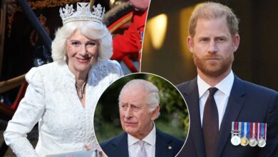 Queen Camilla Reportedly Tightens Grip As Prince Harry Faces Fresh Royal Blow