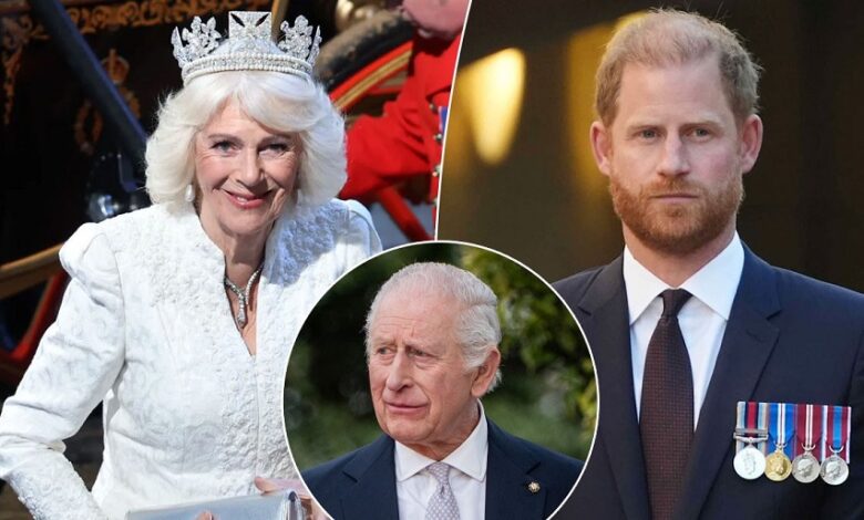 Queen Camilla Reportedly Tightens Grip As Prince Harry Faces Fresh Royal Blow