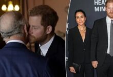 King Charles Reportedly Sets Strict New Terms For Prince Harry And Meghan Markle Reunion