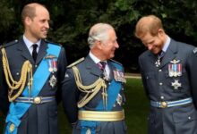 King Charles Reportedly Creates New Royal Crisis For Prince William Over Prince Harry