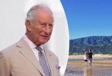 King Charles Quietly Clears Path For Emotional Reunion With Prince Archie And Princess Lilibet