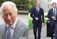 King Charles Quietly Plans To Prevent Explosive Prince William And Prince Harry Showdown