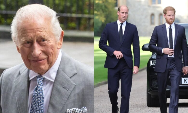 King Charles Quietly Plans To Prevent Explosive Prince William And Prince Harry Showdown