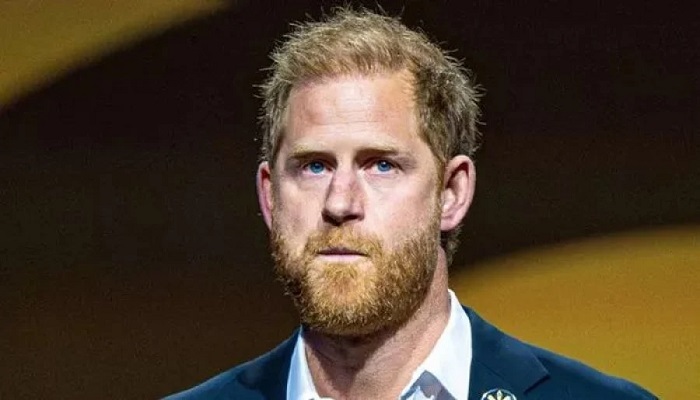 Prince Harry Faces Fresh Pressure As Charity Demands Exit From African Parks Board