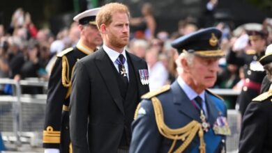 Prince Harry Left Heartbroken After Painful Royal Wedding Snub Sparks Fresh Family Rift