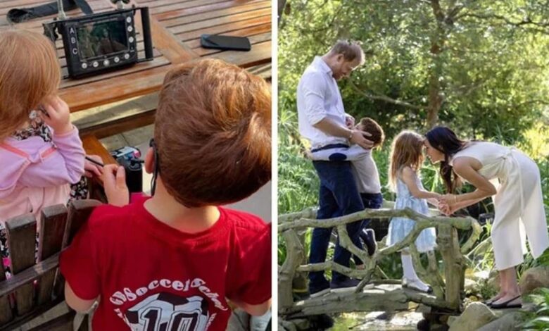 Prince Harry Makes Emotional Move For Archie And Lilibet Amid King Charles Reconciliation Hopes