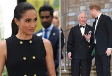Meghan Markle Delivers Heartwarming Surprise As Prince Harry Eyes Key King Charles Meeting