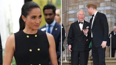 Meghan Markle Delivers Heartwarming Surprise As Prince Harry Eyes Key King Charles Meeting