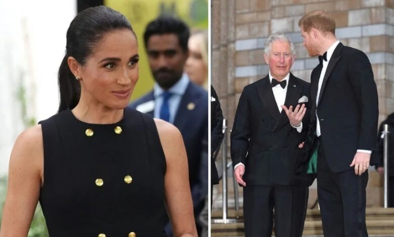 Meghan Markle Delivers Heartwarming Surprise As Prince Harry Eyes Key King Charles Meeting