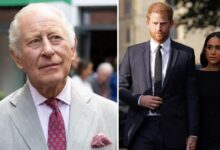 King Charles Snubs Meghan Markle As Prince Harry Receives Special Invitation Amid Royal Reconciliation Talks
