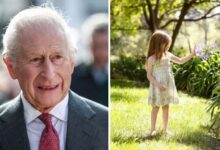 King Charles Receives Heartwarming Princess Lilibet Update As Fifth Birthday Sparks Royal Interest