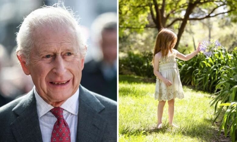 King Charles Receives Heartwarming Princess Lilibet Update As Fifth Birthday Sparks Royal Interest