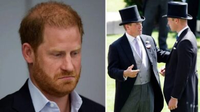 Prince Harry Reacts To Peter Phillips Wedding Snub As William Influence Claim Emerges