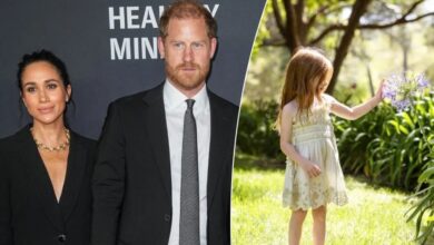 Prince Harry Faces Growing Concerns As Princess Lilibet Steps Further Into Public View