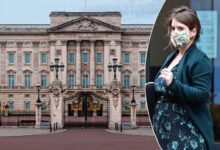 Buckingham Palace Changes Tone On Princess Eugenie As New Charity Questions Emerge