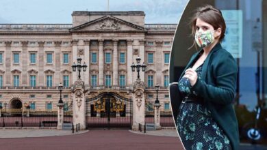 Buckingham Palace Changes Tone On Princess Eugenie As New Charity Questions Emerge