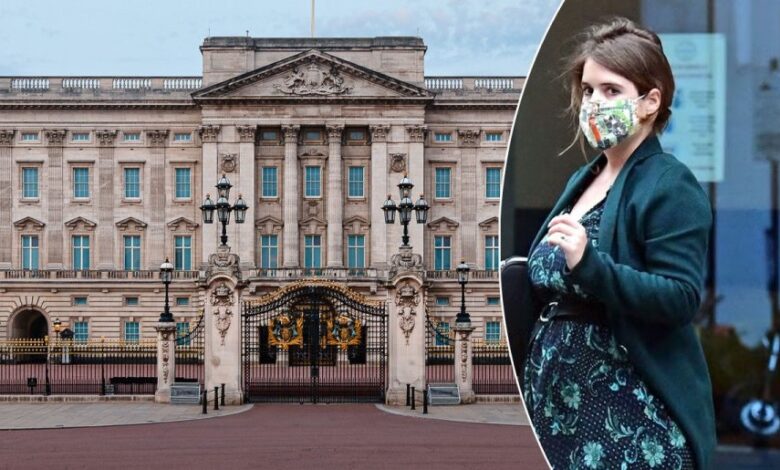 Buckingham Palace Changes Tone On Princess Eugenie As New Charity Questions Emerge