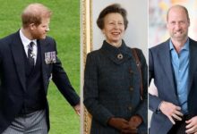 Princess Anne Forced To Make Tough Prince Harry Decision As Royal Wedding Unites Family