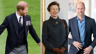Princess Anne Forced To Make Tough Prince Harry Decision As Royal Wedding Unites Family