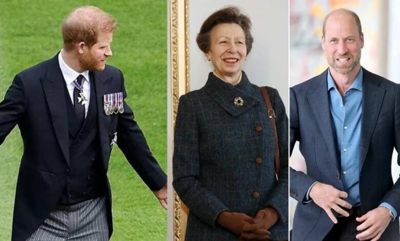 Princess Anne Forced To Make Tough Prince Harry Decision As Royal Wedding Unites Family