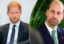 Prince Harry Hit By Fresh Prince William Blow As Royal Rift Reaches New Low