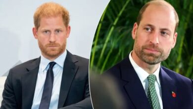 Prince Harry Hit By Fresh Prince William Blow As Royal Rift Reaches New Low