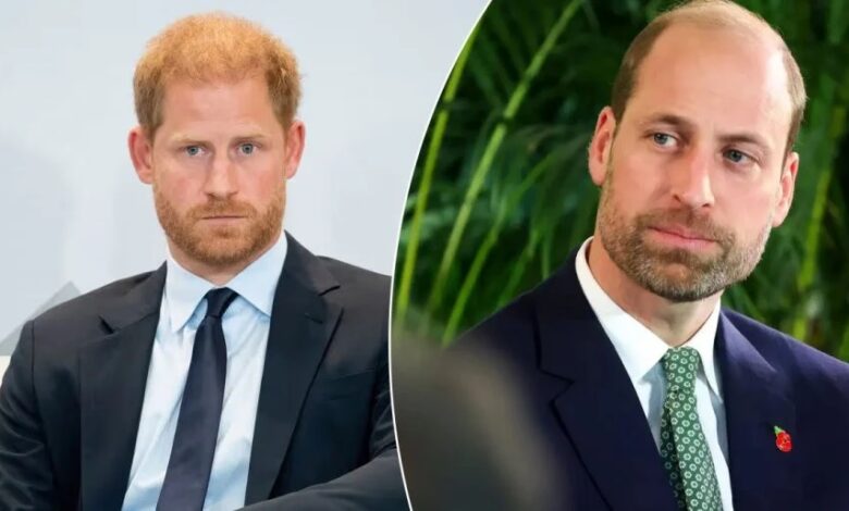 Prince Harry Hit By Fresh Prince William Blow As Royal Rift Reaches New Low