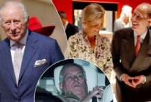King Charles At Ease As Duchess Sophie And Prince Edward Deliver Good News Amid Andrew Drama