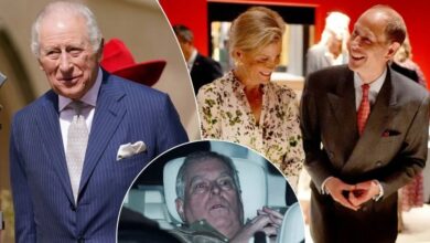 King Charles At Ease As Duchess Sophie And Prince Edward Deliver Good News Amid Andrew Drama