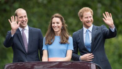 Prince William Reached Breaking Point After Prince Harry's Claims About Princess Kate